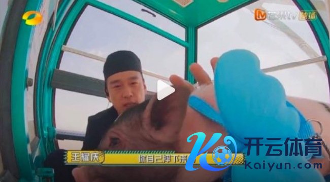 王耀庆带猪这段完播率200% 笑点密集