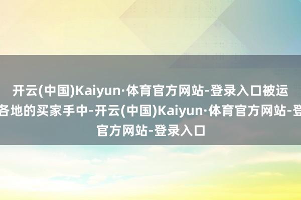开云(中国)Kaiyun·体育官方网站-登录入口被运往宇宙各地的买家手中-开云(中国)Kaiyun·体育官方网站-登录入口