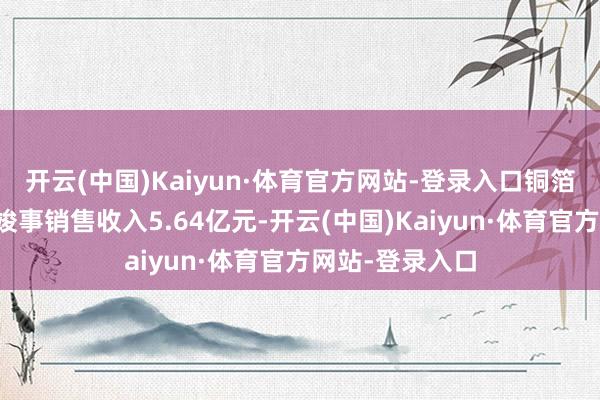 开云(中国)Kaiyun·体育官方网站-登录入口铜箔居品销量飞腾竣事销售收入5.64亿元-开云(中国)Kaiyun·体育官方网站-登录入口