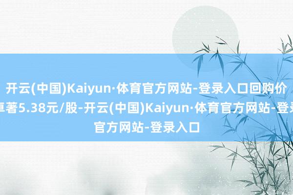 开云(中国)Kaiyun·体育官方网站-登录入口回购价钱不卓著5.38元/股-开云(中国)Kaiyun·体育官方网站-登录入口