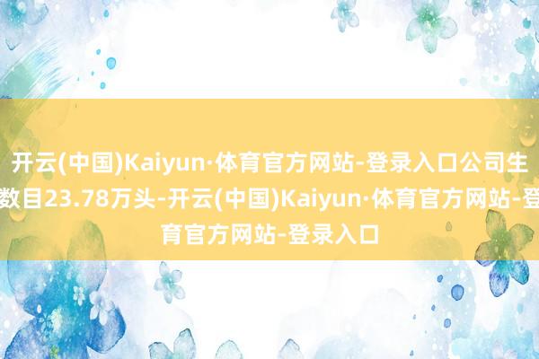 开云(中国)Kaiyun·体育官方网站-登录入口公司生猪销售数目23.78万头-开云(中国)Kaiyun·体育官方网站-登录入口
