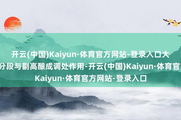 开云(中国)Kaiyun·体育官方网站-登录入口大陆高压在一定时分段与副高酿成调处作用-开云(中国)Kaiyun·体育官方网站-登录入口